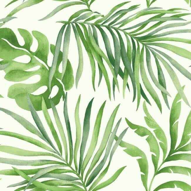 Paradise Palm Green Wallpaper - York Wallcoverings - SO2450