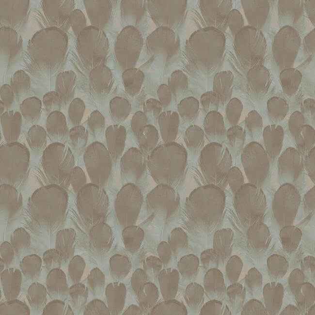 Feathers Brown & Turquoise Wallpaper - York Wallcoverings - Y6230104