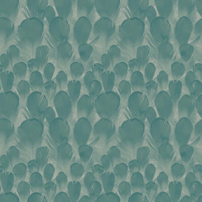 feathers-wallpaper-teal-green-york-wallcoverings-y6230105