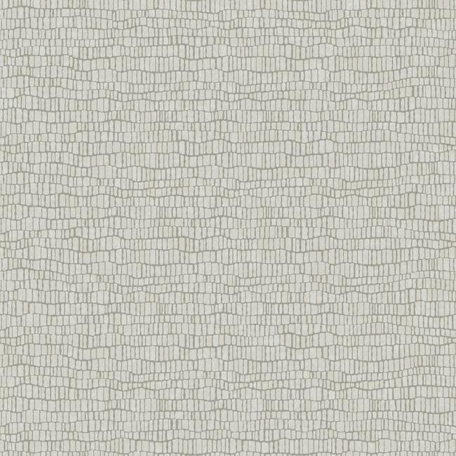 skin-wallpaper-light-grey-york-wallcoverings-y6230401
