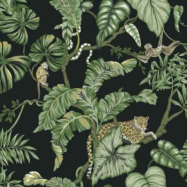 Jungle Cat Black Wallpaper - York Wallcoverings - HO2143