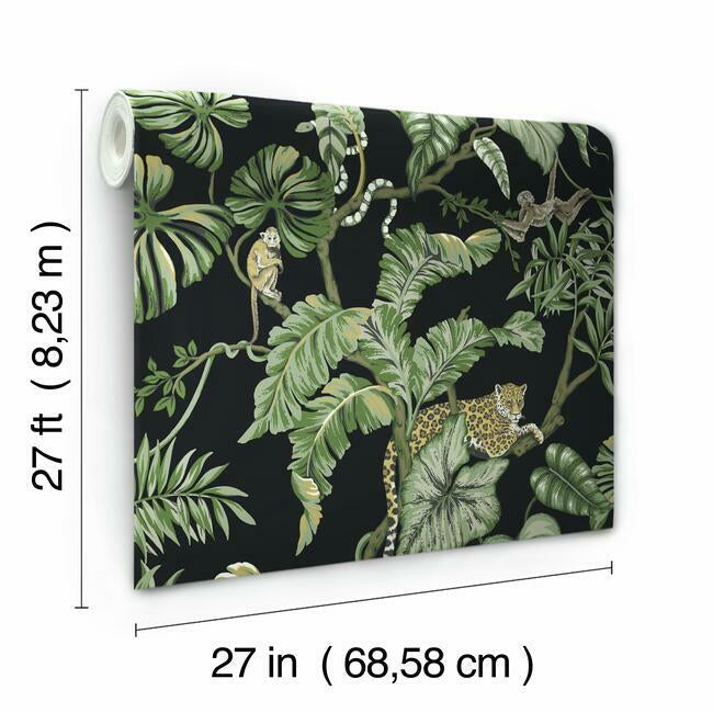 jungle-cat-wallpaper-black-york-wallcoverings-ho2143