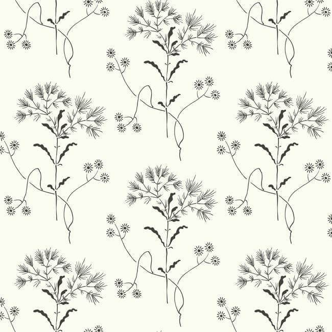 Wildflower Black & White Wallpaper - York Wallcoverings - ME1515
