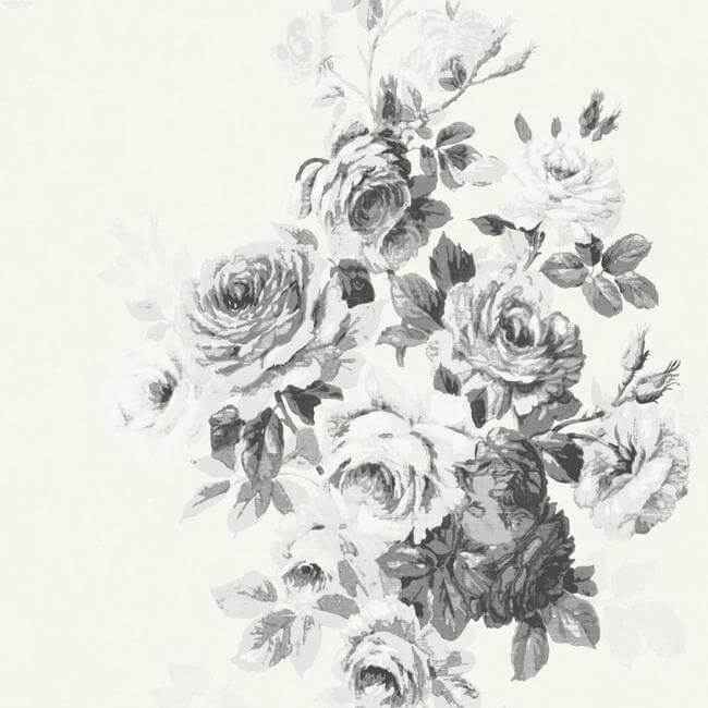 Tea Rose Black & White Wallpaper - York Wallcoverings - ME1534