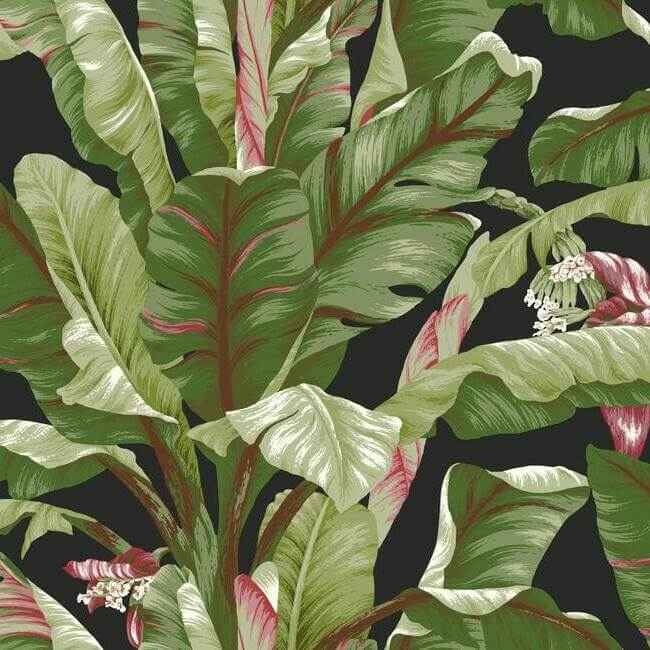 Banana Leaf Black & Red Wallpaper - York Wallcoverings - AT7071 - York Wallcoverings Wallpaper