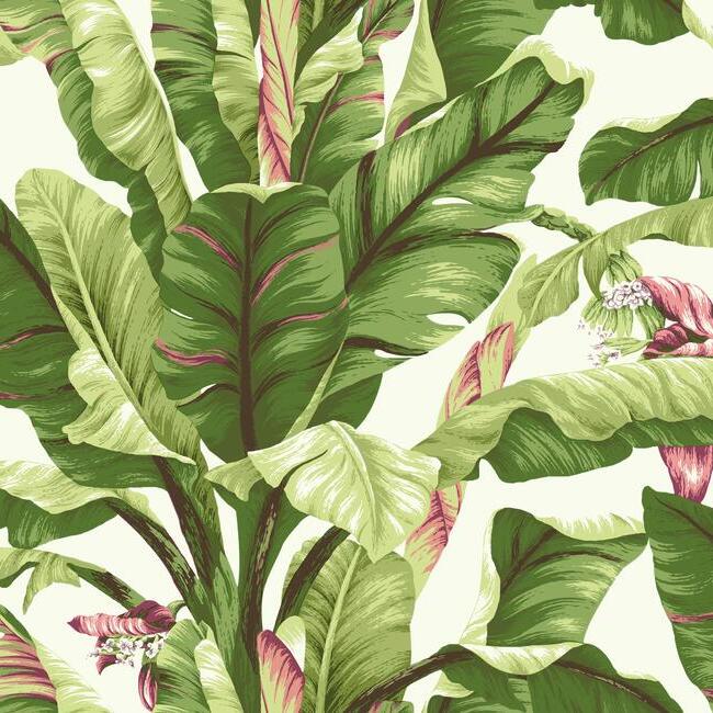 banana-leaf-wallpaper-pearl-brights-york-wallcoverings-at7067