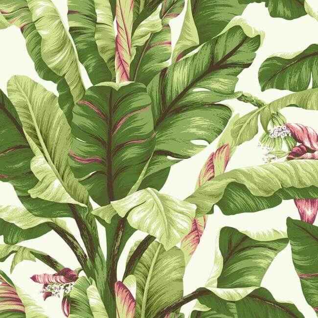 Banana Leaf Dark Brown & Pink Wallpaper - York Wallcoverings - AT7067