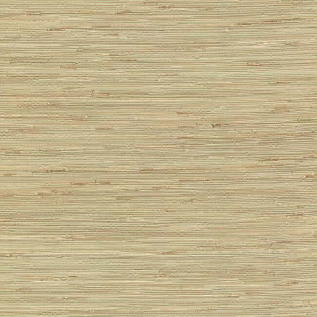 river-grass-green-wallpaper-york-wallcoverings-nz0780 - York Wallcoverings Wallpaper