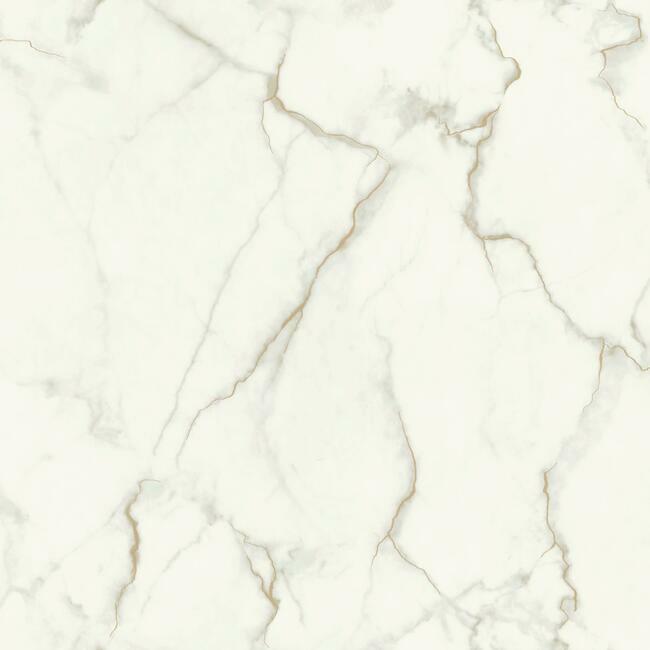 gilded-marble-wallpaper-grey-gold-york-wallcoverings-mm1757