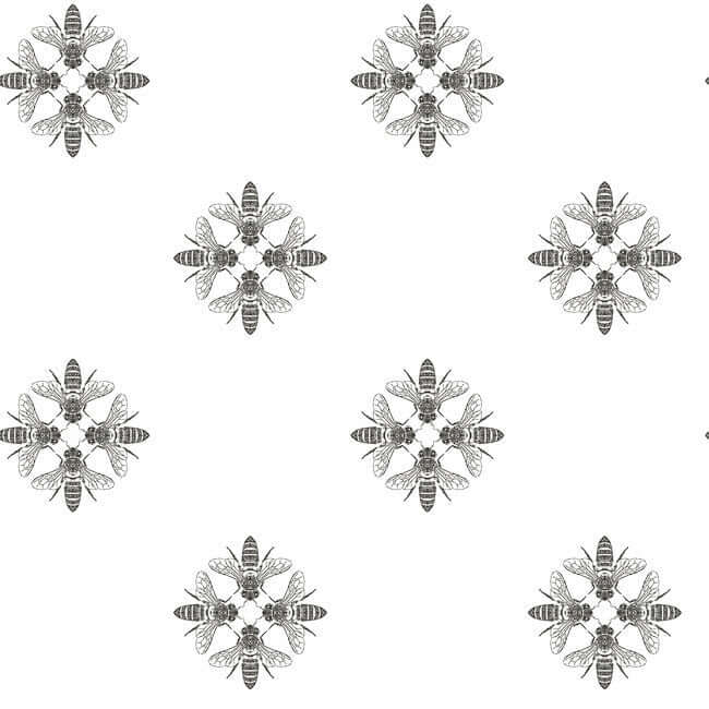 honey-bee-black-white-wallpaper-york-wallcoverings-on1643