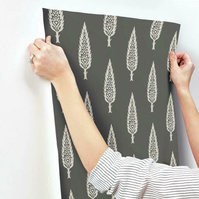 juniper-tree-black-taupe-wallpaper-york-wallcoverings-ss2607 - York Wallcoverings Wallpaper