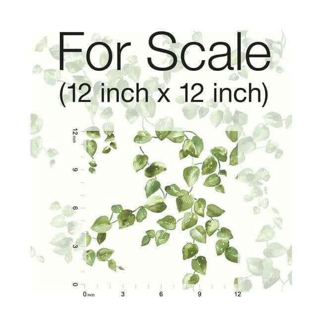 Creeping Fig Vine Green Wallpaper - York Wallcoverings - FH4036 - York Wallcoverings Wallpaper