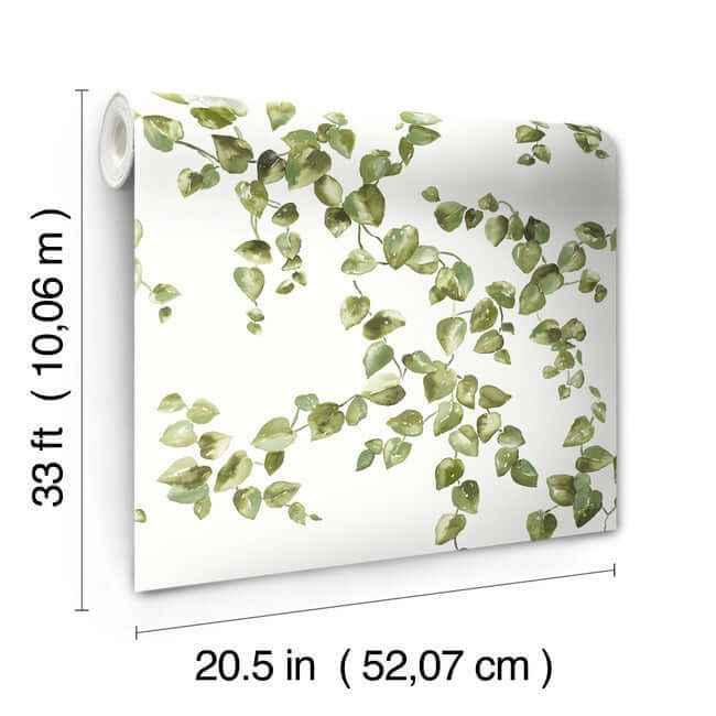 Creeping Fig Vine Green Wallpaper - York Wallcoverings - FH4036 - York Wallcoverings Wallpaper
