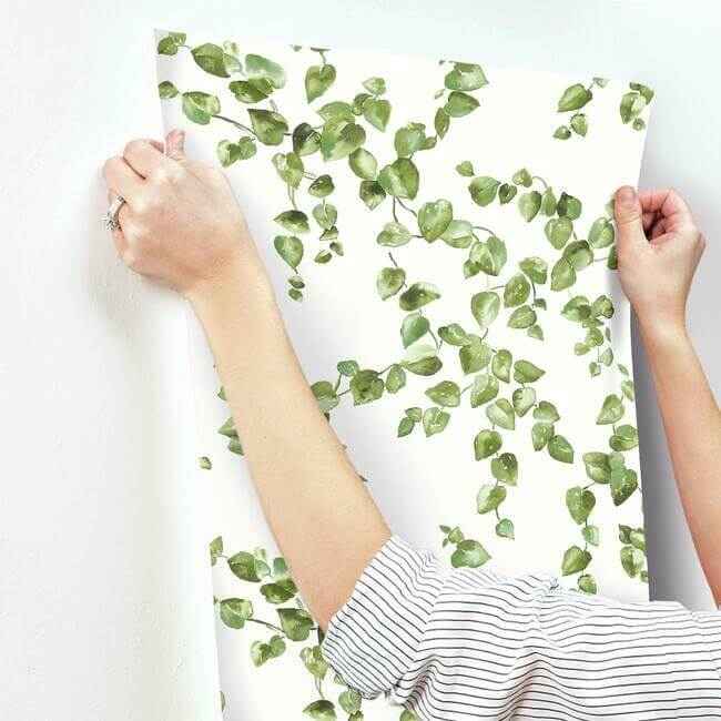 Creeping Fig Vine Green Wallpaper - York Wallcoverings - FH4036 - York Wallcoverings Wallpaper