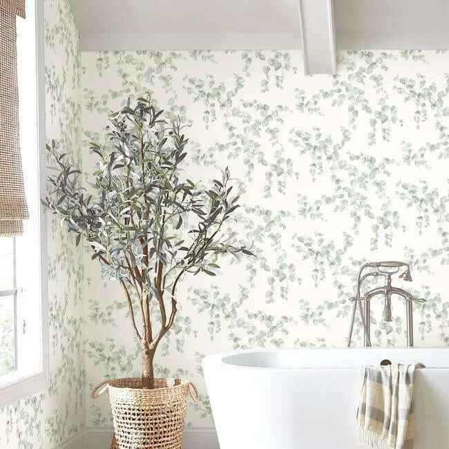 Creeping Fig Vine Sage Wallpaper - York Wallcoverings - FH4037 - York Wallcoverings Wallpaper