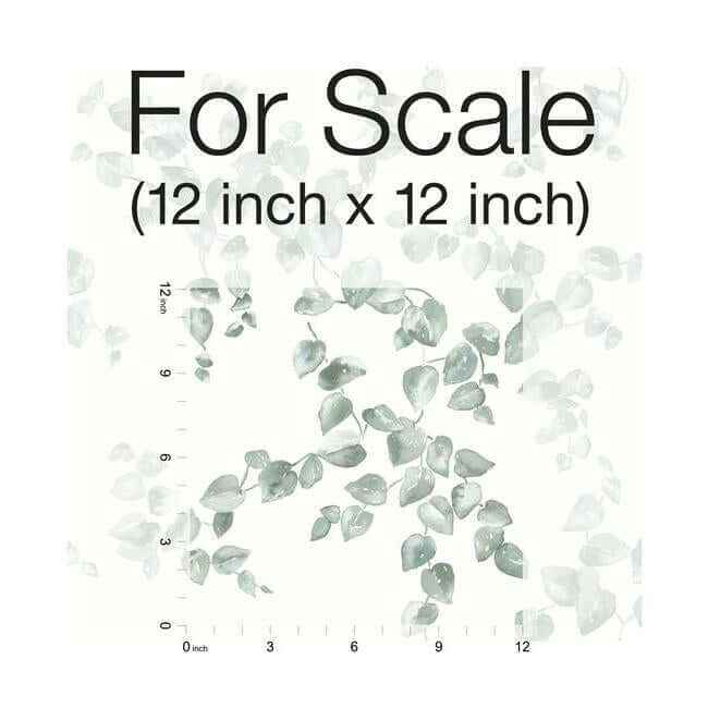 Creeping Fig Vine Sage Wallpaper - York Wallcoverings - FH4037 - York Wallcoverings Wallpaper