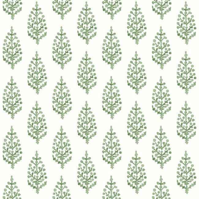 Paisley on Calico Green Wallpaper - York Wallcoverings - FH4067 - York Wallcoverings Wallpaper