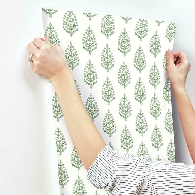 paisley-on-calico-wallpaper-green-york-wallcoverings-fh4067 - York Wallcoverings Wallpaper