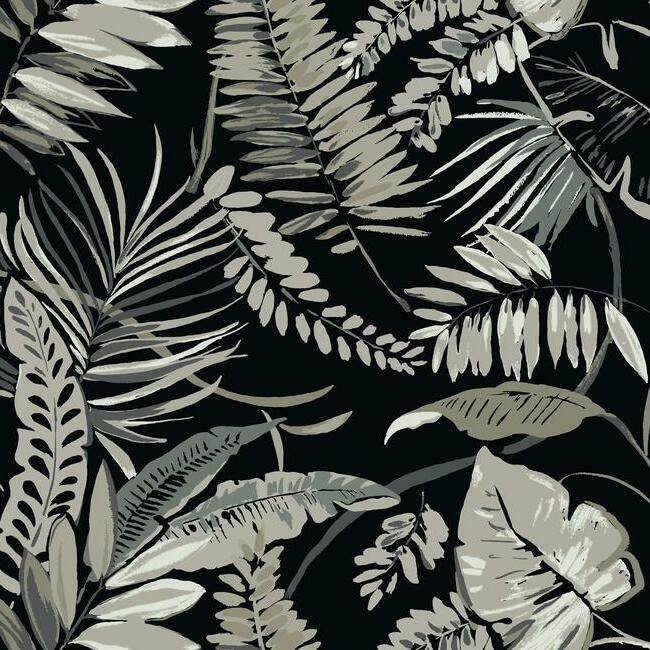 tropical-toss-wallpaper-black-york-wallcoverings-tc2625