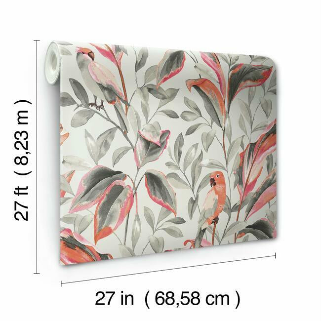 tropical-love-birds-wallpaper-grey-york-wallcoverings-tc2652