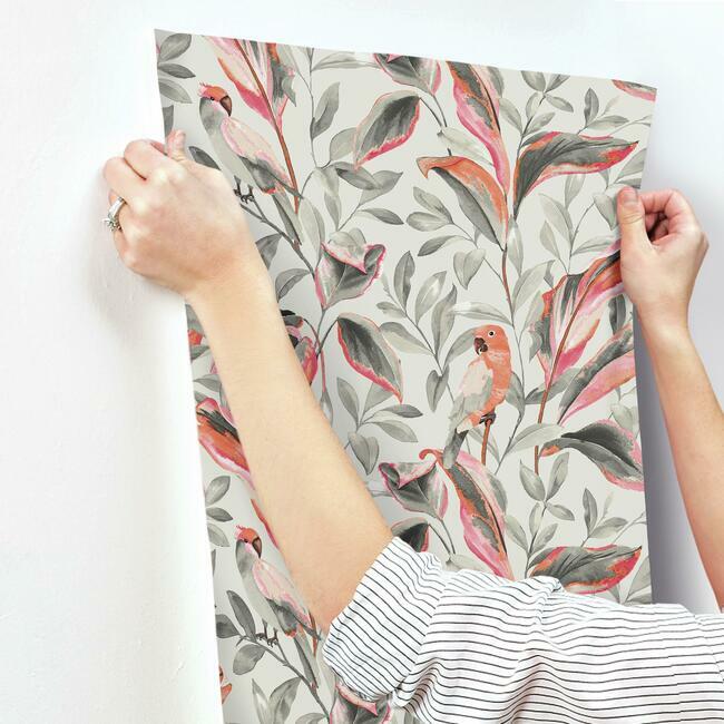 tropical-love-birds-wallpaper-grey-york-wallcoverings-tc2652