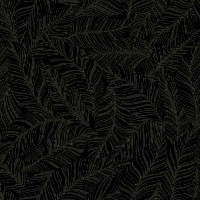 Rainforest Canopy Black Wallpaper - York Wallcoverings - TC2712