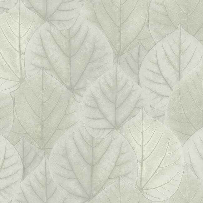 Leaf Concerto Grey Wallpaper - York Wallcoverings - OS4246
