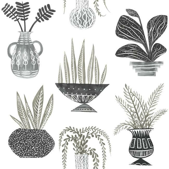 plant-party-premium-peel-stick-wallpaper-natural-york-wallcoverings-psw1251rl