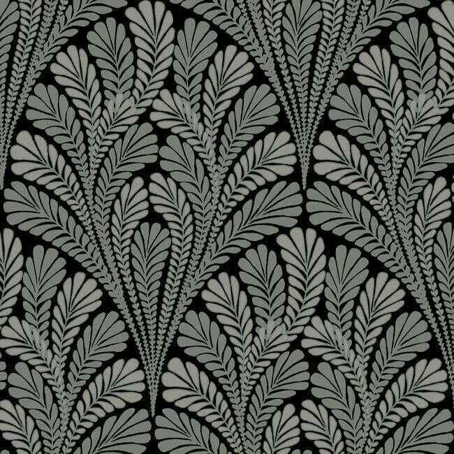 Shell Damask Black Wallpaper - York Wallcoverings - BW3951 - York Wallcoverings Wallpaper