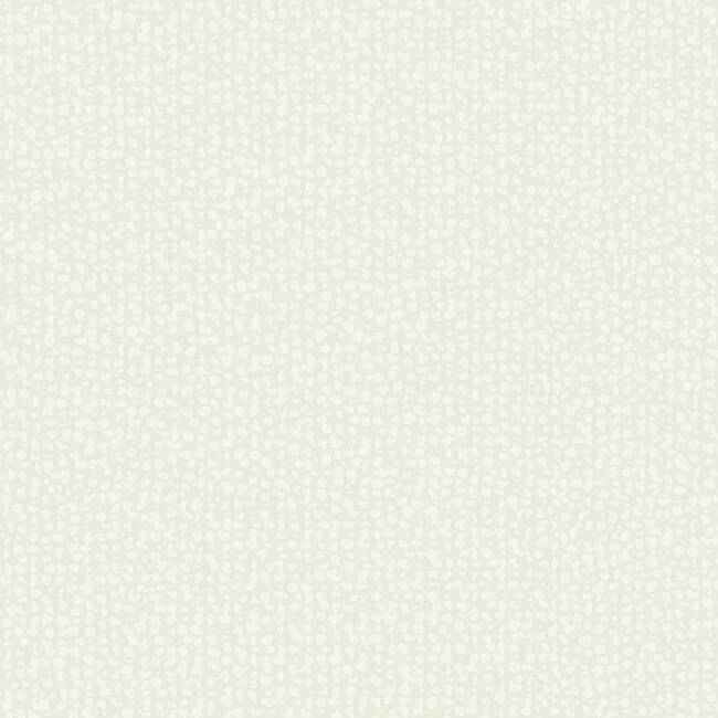 Galaxies White Wallpaper - York Wallcoverings - DD3803