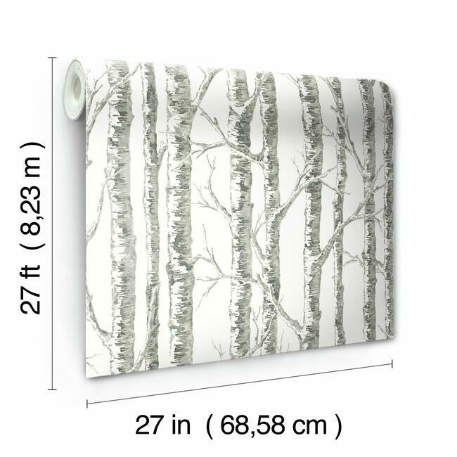 paper-birch-white-grey-wallpaper-york-wallcoverings-bw3901 - York Wallcoverings Wallpaper