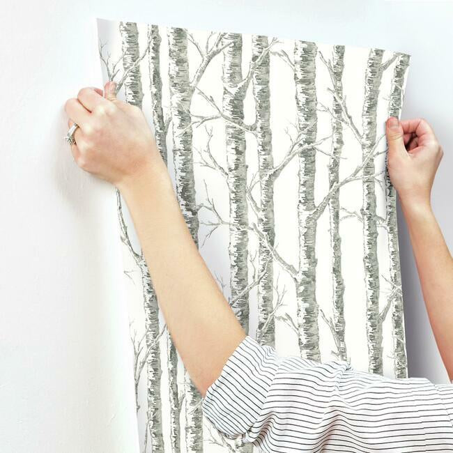 paper-birch-white-grey-wallpaper-york-wallcoverings-bw3901 - York Wallcoverings Wallpaper