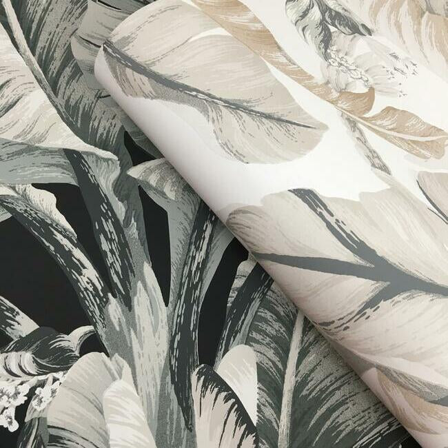 banana-leaf-wallpaper-black-neutral-york-wallcoverings-bw3971
