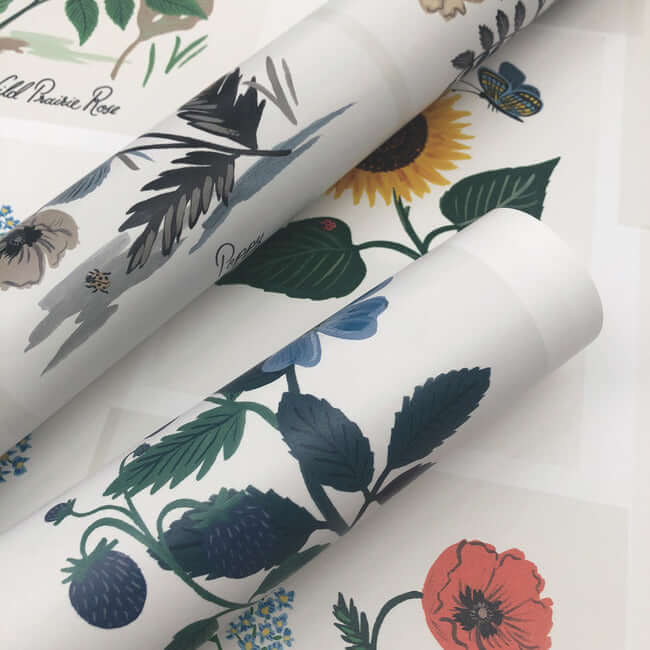 botanical-prints-wallpaper-indigo-york-wallcoverings-rp7335 - York Wallcoverings Wallpaper