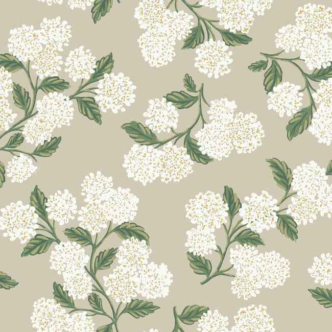 Hydrangea Beige Wallpaper - York Wallcoverings - RP7394 - York Wallcoverings Wallpaper