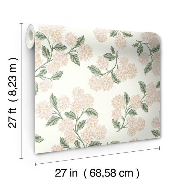 hydrangea-wallpaper-white-blush-york-wallcoverings-rp7393