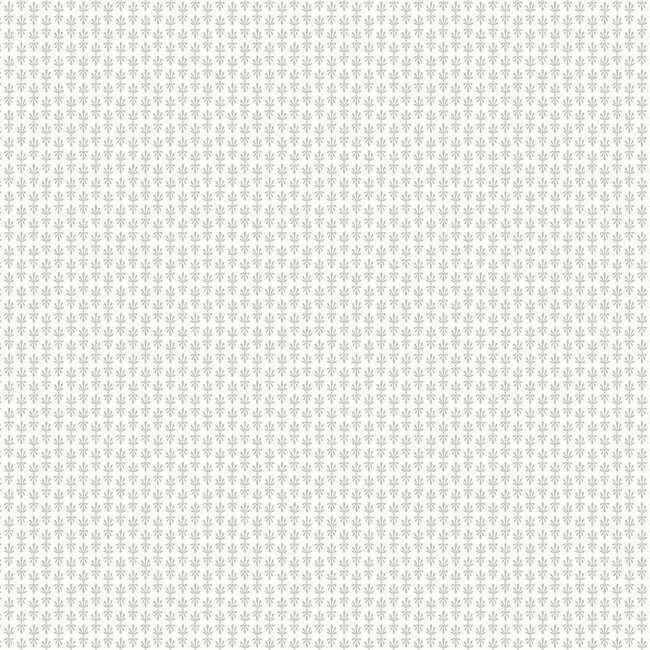 Petal White Wallpaper - York Wallcoverings - RP7361