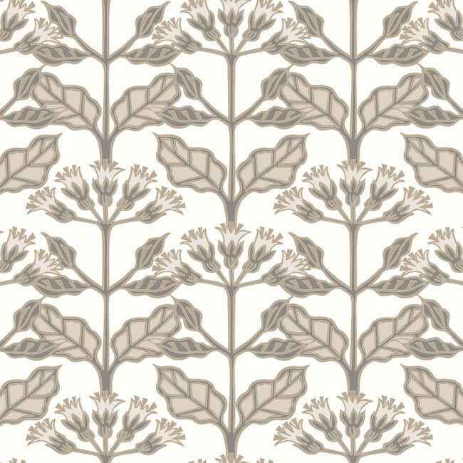 Tracery Blooms White Wallpaper - York Wallcoverings - AC9114