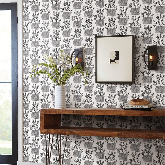 seedlings-premium-peel-stick-wallpaper-onyx-york-wallcoverings-psw1229rl