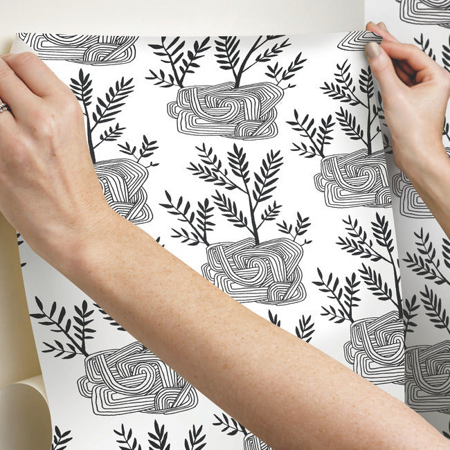 seedlings-premium-peel-stick-wallpaper-onyx-york-wallcoverings-psw1229rl