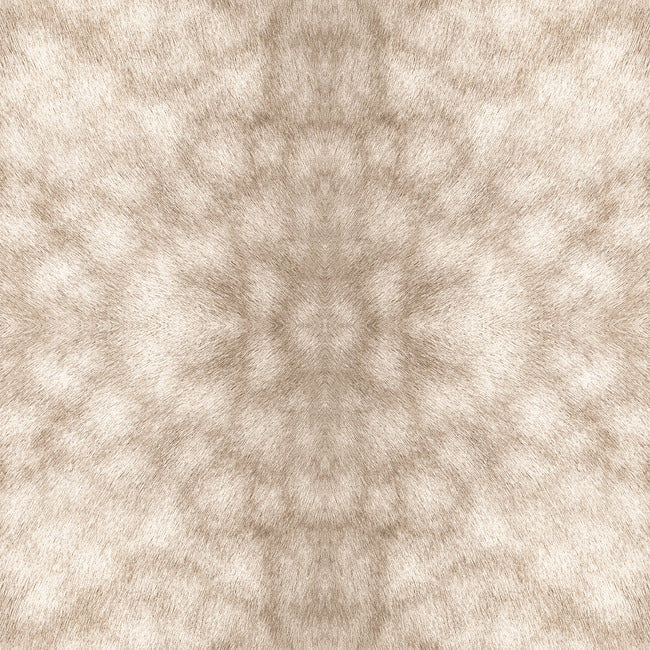 palomino-premium-peel-stick-wallpaper-buckskin-palomino-york-wallcoverings-psw1376rl