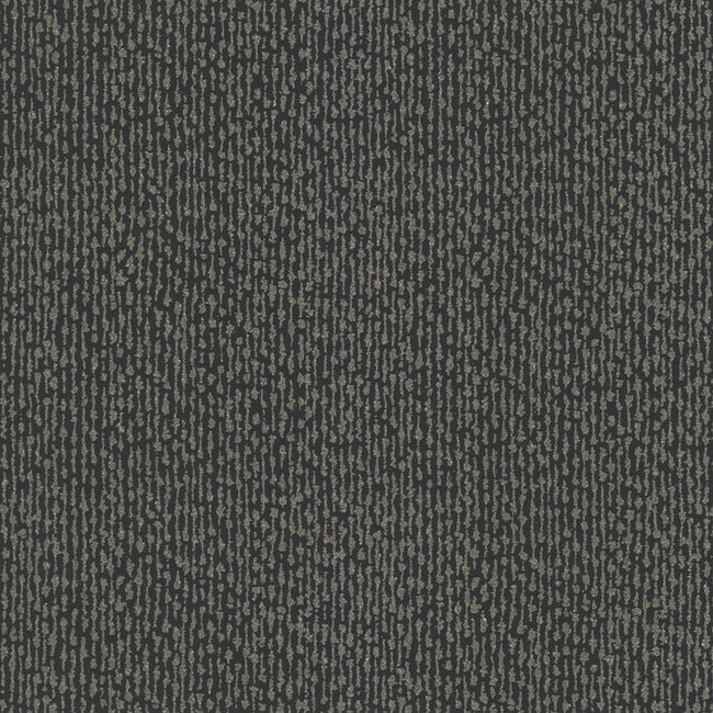 dazzle-wallpaper-black-york-wallcoverings-dt5091