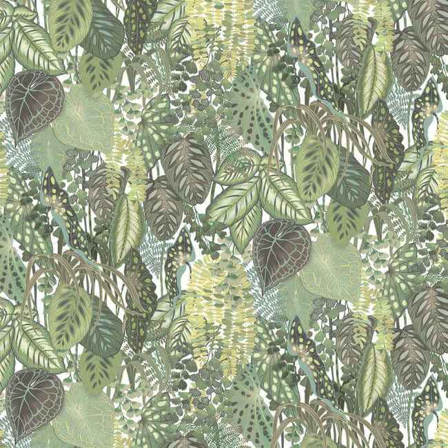 Greenery Cotton Wall Mural - York Wallcoverings - GO8332M - York Wallcoverings Wallpaper