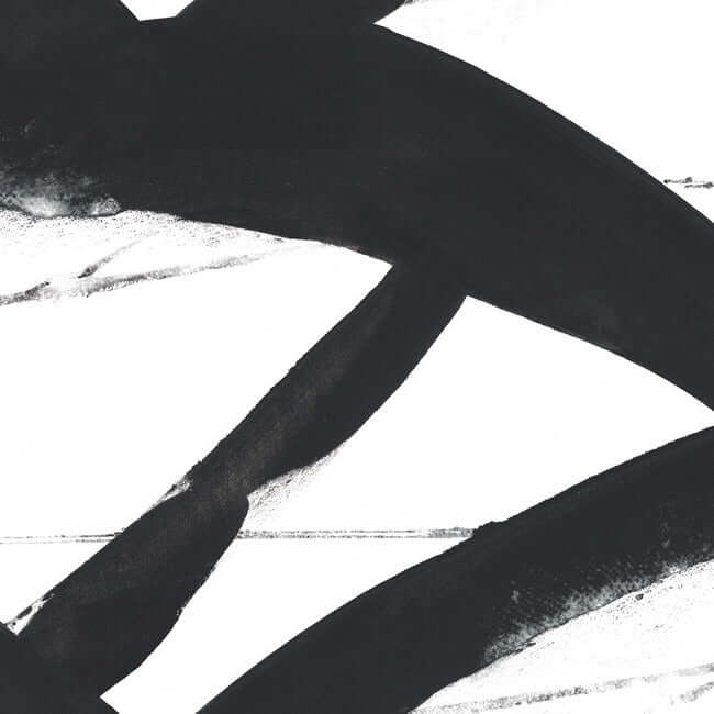 entanglement-black-wallpaper-york-wallcoverings-cc1301 - York Wallcoverings Wallpaper