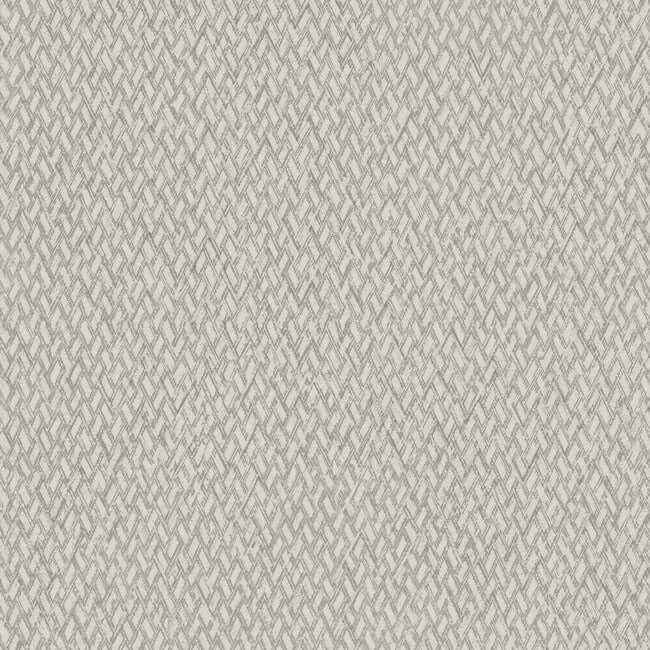 Give & Take Beige & Brown Wallpaper - York Wallcoverings - ND3024N