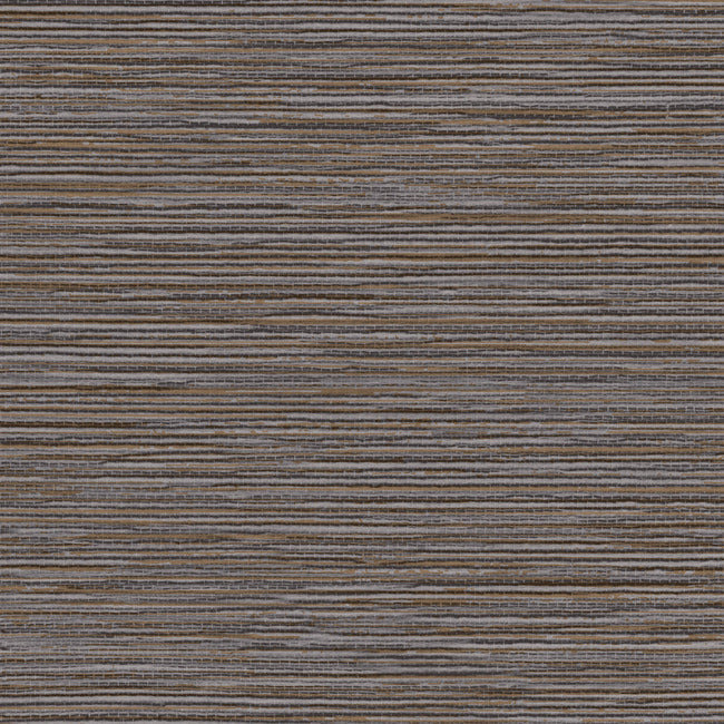 grass-roots-high-performance-wallpaper-graphite-york-wallcoverings-nd3039n