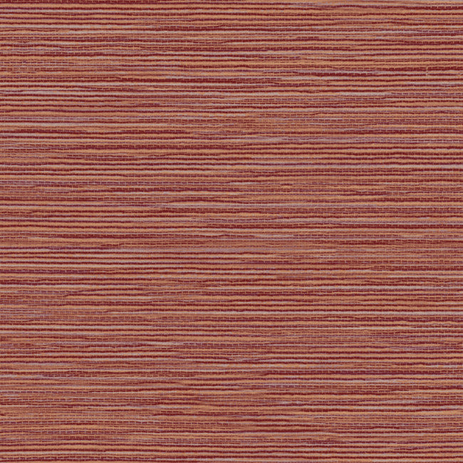 grass-roots-high-performance-wallpaper-terracotta-york-wallcoverings-nd3034n