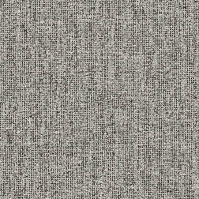 dandy-high-performance-wallpaper-charcoal-york-wallcoverings-nd3010n