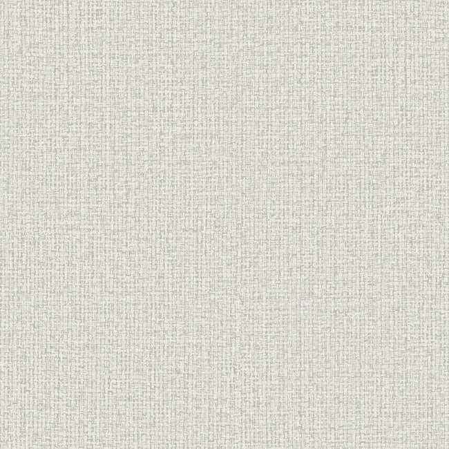 Dandy Light Grey Wallpaper - York Wallcoverings - ND3008N