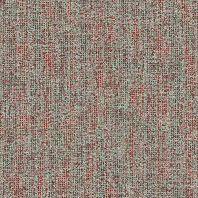 dandy-high-performance-wallpaper-spiced-york-wallcoverings-nd3012n